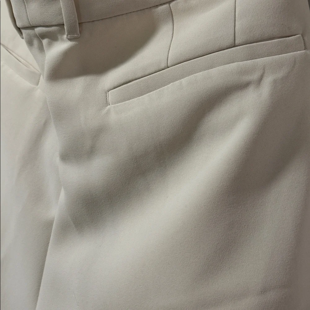 Banana Republic Pleated Wide Leg Pants - Picture 9 of 10